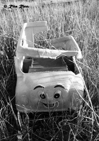 Alone but happy - RITA RICO - EXIF: não disponível